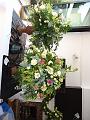 1DSC00395